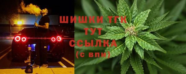 прущая мука Тавда
