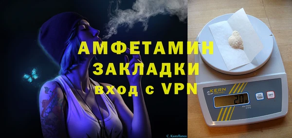 хмурый Тайга