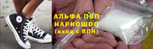 хмурый Тайга