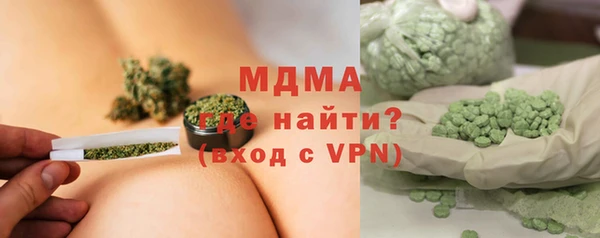 хмурый Тайга