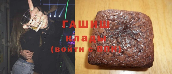 хмурый Тайга