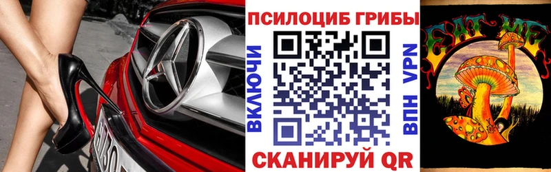 Купить  Курильск  Псилоцибиновые грибы MAGIC MUSHROOMS 